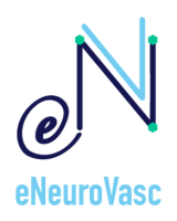 eNeuroVasc